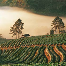 Thaïlande, suivez le guide