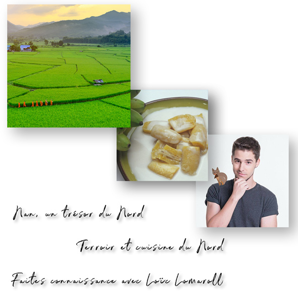 Newsletter Février 2021