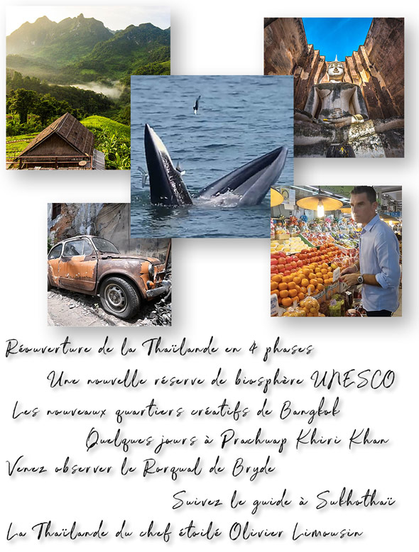 Newsletter Septembre 2021