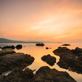 FAQ sur le programme SAMUI+
