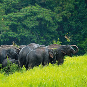 Bangkok et le parc national de Khao Yai dans la liste des « Meilleurs endroits du monde 2021 »