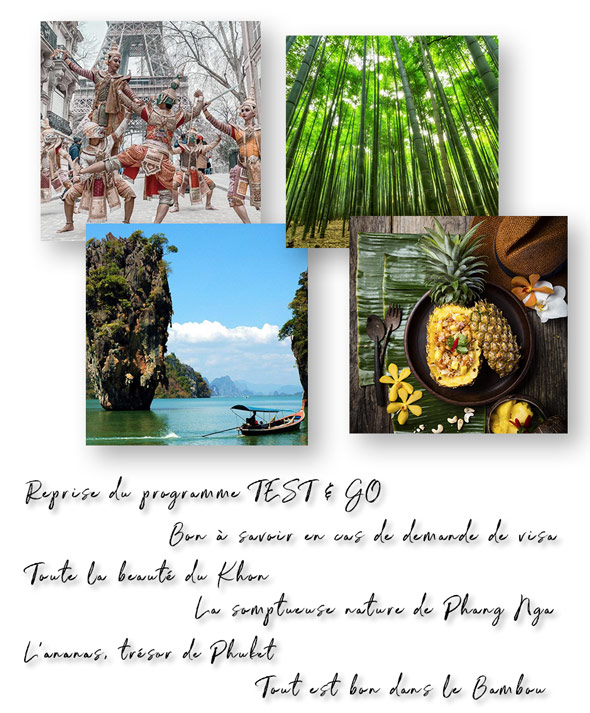 Newsletter Janvier 2022