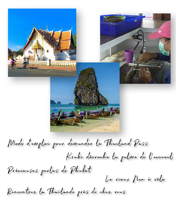 Newsletter Février 2022
