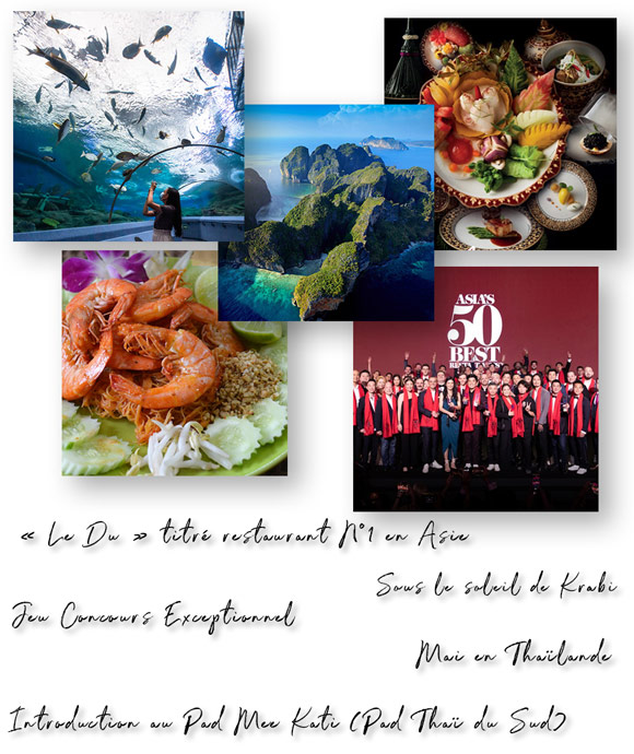 Newsletter Avril 2023