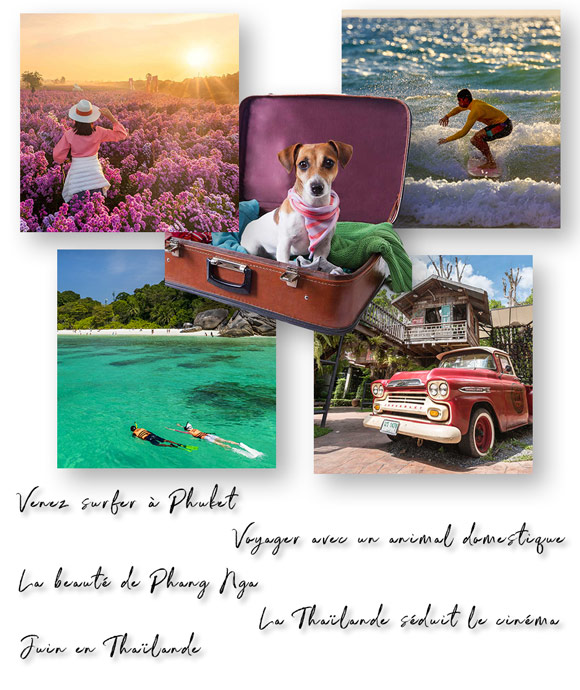 Newsletter Mai 2023
