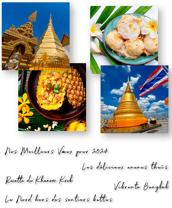 Newsletter Janvier 2024