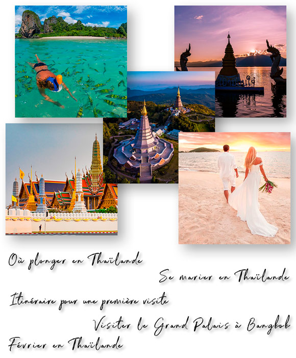 Newsletter Janvier 2024