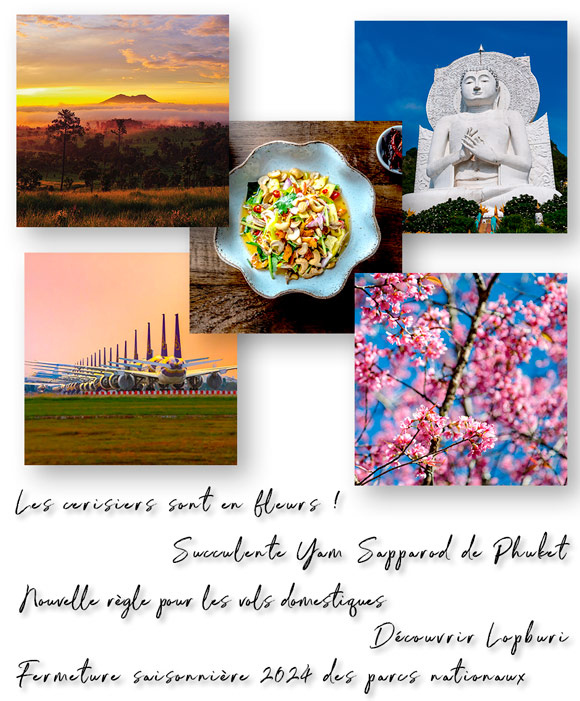 Newsletter Février 2024