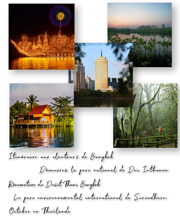 Newsletter Septembre 2024
