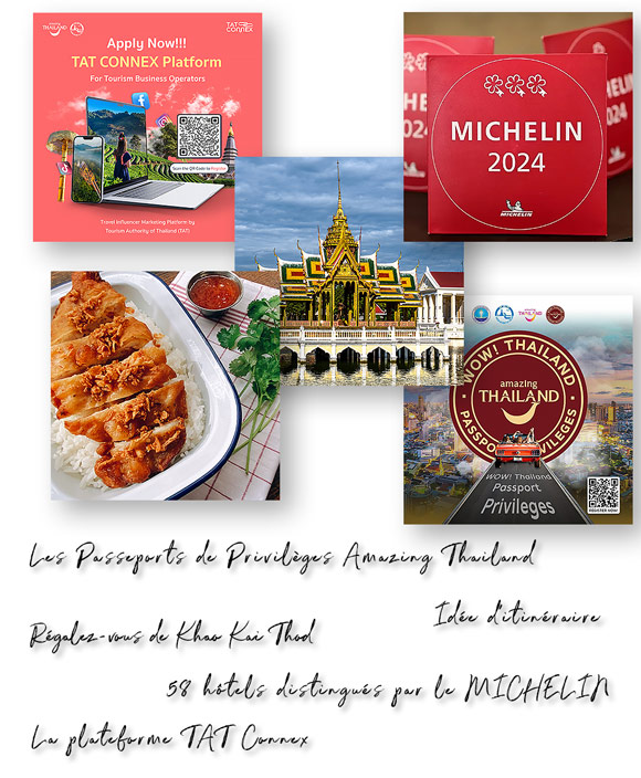 Newsletter Octobre 2024