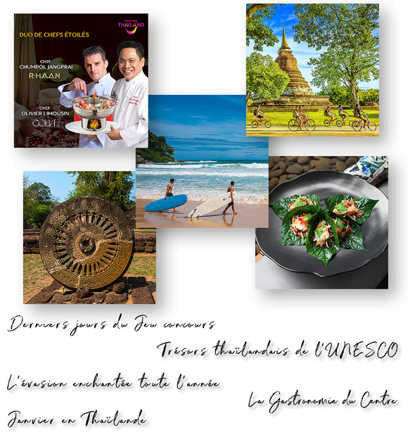Newsletter Décembre 2024