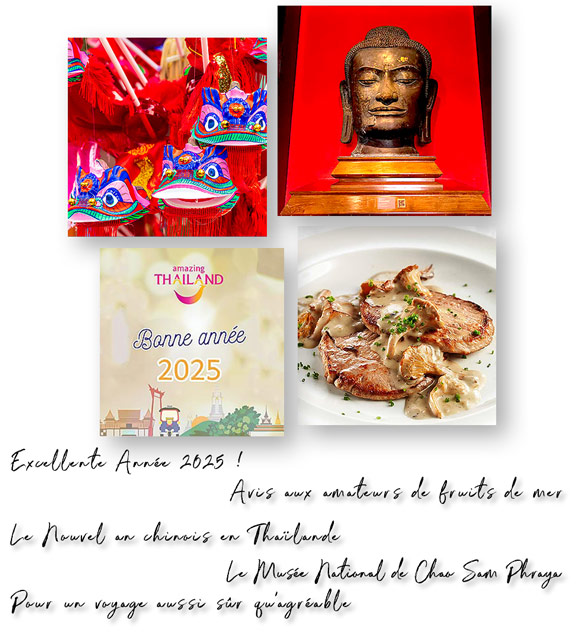 Newsletter Décembre 2025