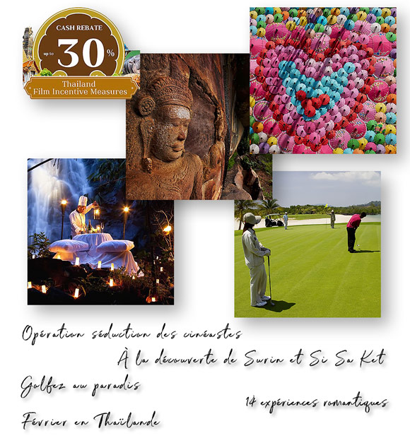 Newsletter Janvier 2025