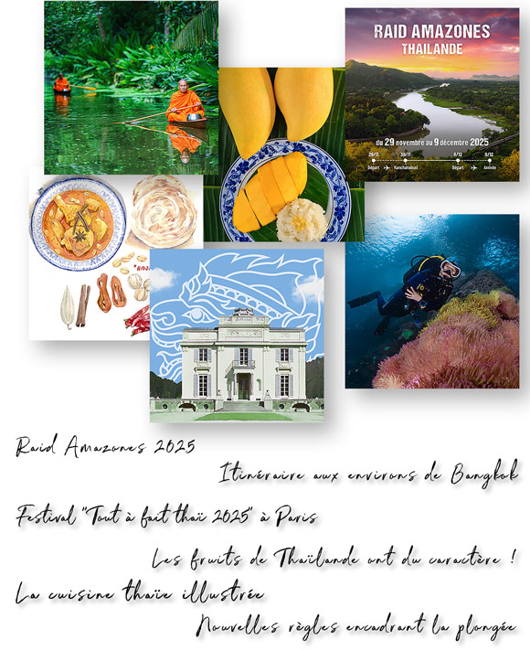 Newsletter Avril 2025