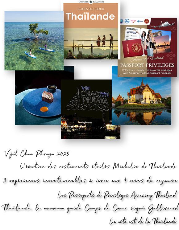 Newsletter Novembre 2025