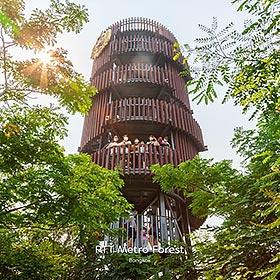 Voyage au cœur des oasis vertes de Bangkok