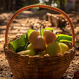 Les fruits de Thaïlande ont du caractère