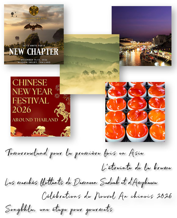Newsletter Février 2026