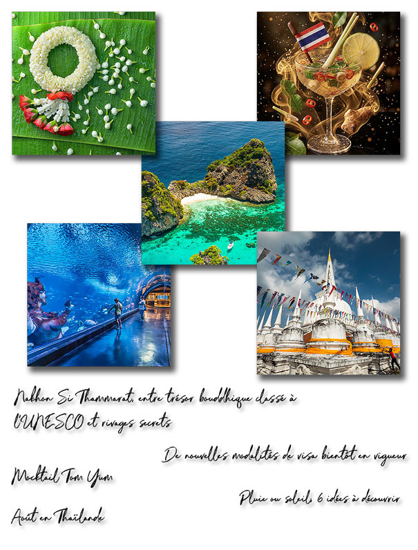 Newsletter Juillet 2026