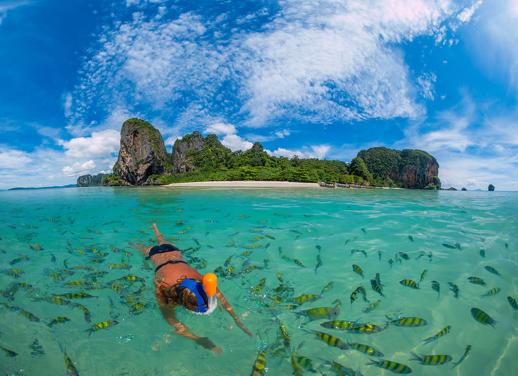 Plongée sous-marine en Thailande en 2024