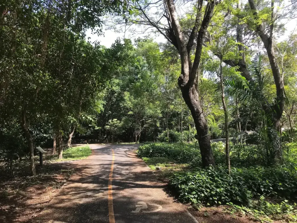 Petit chemin ombragé traversant une végétation tropicale dense à Bang Krachao, près de Bangkok.