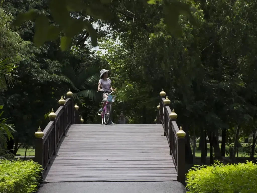 Passerelle surélevée bordée de végétation luxuriante et de grands arbres dans les espaces verts de Bang Krachao.